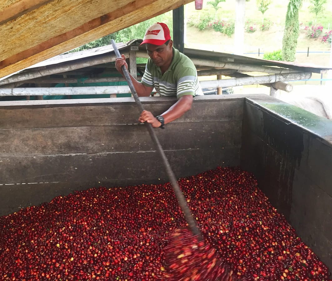 Esperanza-Fermenation-Tank-scaled