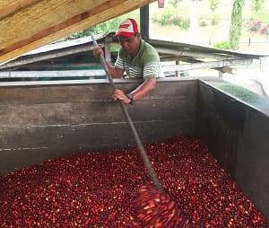 Esperanza-Fermenation-Tank-scaled